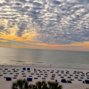 Meet your Posher, Terri